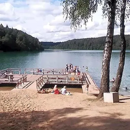 Ginto Svetingi Namai