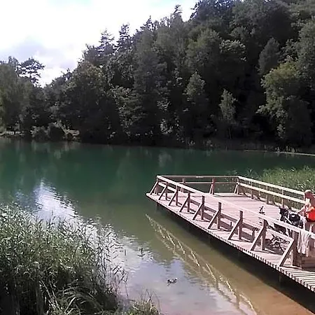 旅馆 Ginto Svetingi Namai 维尔纽斯