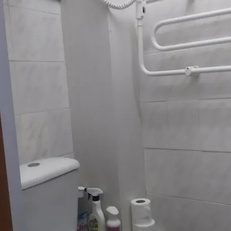 Ginto Svetingi Namai Hostel *