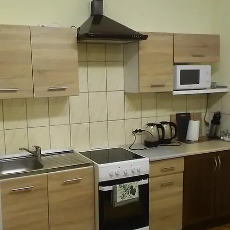 Ginto Svetingi Namai Hostel