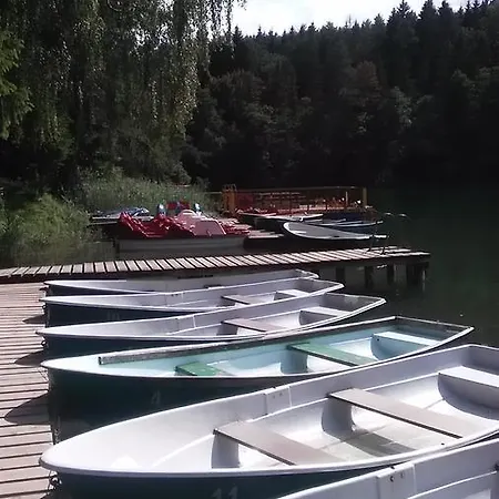 Ginto Svetingi Namai Hostel