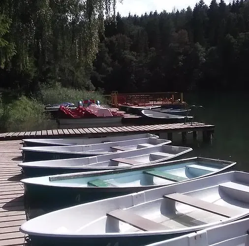 Ginto Svetingi Namai Ostello