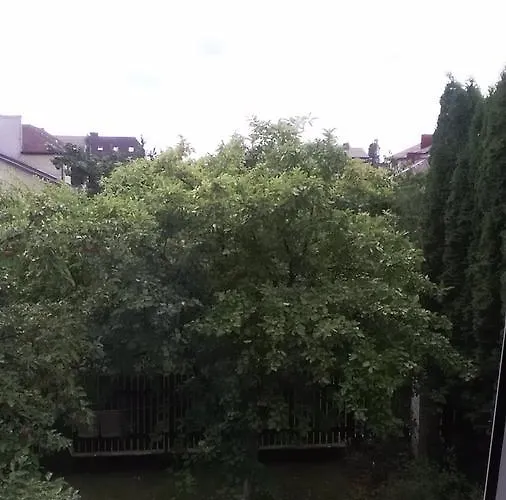 Hostel Ginto Svetingi Namai *