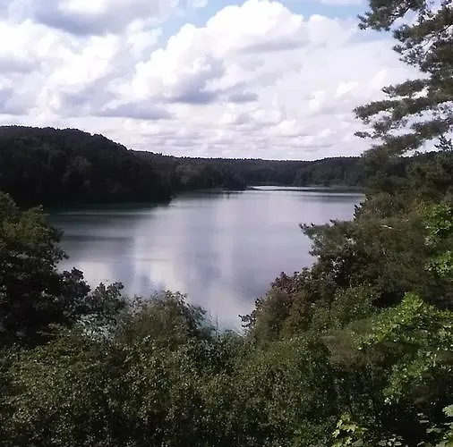 Ginto Svetingi Namai