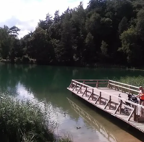 Ginto Svetingi Namai