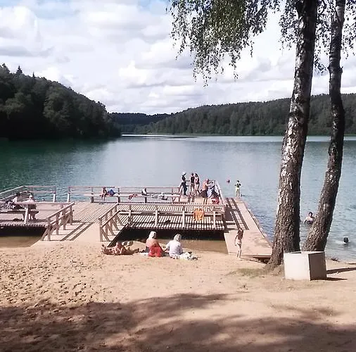 Ginto Svetingi Namai بيت شباب فيلنيوس